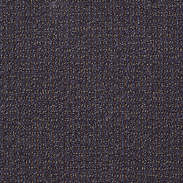 Dateline Commercial Carpet by Philadelphia Commercial in the color Standard Time. Sample of violets carpet pattern and texture.
