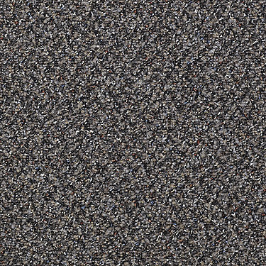 Rousing Review Commercial Carpet by Philadelphia Commercial in the color Two Thumbs Up. Sample of grays carpet pattern and texture.