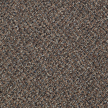 Rousing Review Commercial Carpet by Philadelphia Commercial in the color Marvelous. Sample of browns carpet pattern and texture.