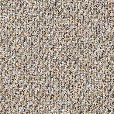 Major Event Unitary Commercial Carpet by Philadelphia Commercial in the color Proposal. Sample of browns carpet pattern and texture.