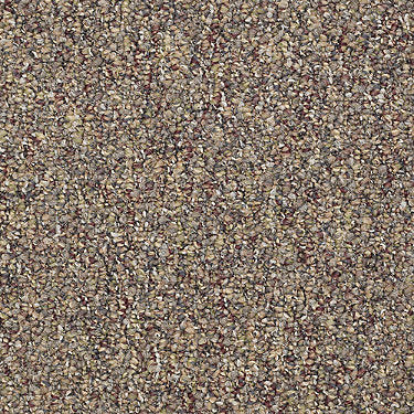 Major Event Unitary Commercial Carpet by Philadelphia Commercial in the color Turning 21. Sample of browns carpet pattern and texture.