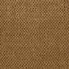 Next Generation Commercial Carpet by Philadelphia Commercial in the color Caramel. Sample of golds carpet pattern and texture.