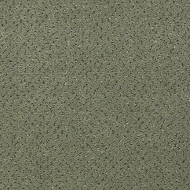Next Generation Commercial Carpet by Philadelphia Commercial in the color Pale Jade. Sample of greens carpet pattern and texture.