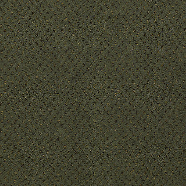 Next Generation Commercial Carpet by Philadelphia Commercial in the color Fried Tomatoes. Sample of greens carpet pattern and texture.