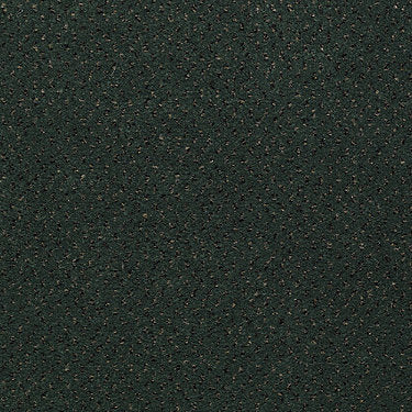 Next Generation Commercial Carpet by Philadelphia Commercial in the color Garland. Sample of greens carpet pattern and texture.
