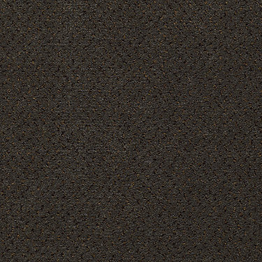 Next Generation Commercial Carpet by Philadelphia Commercial in the color Scholar. Sample of greens carpet pattern and texture.