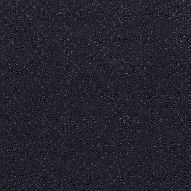 Next Generation Commercial Carpet by Philadelphia Commercial in the color Nordic. Sample of blues carpet pattern and texture.