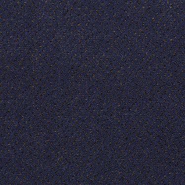 Next Generation Commercial Carpet by Philadelphia Commercial in the color Nantucket. Sample of blues carpet pattern and texture.