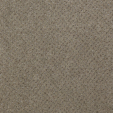 Next Generation Commercial Carpet by Philadelphia Commercial in the color Driftwood. Sample of grays carpet pattern and texture.