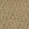 Next Generation Commercial Carpet by Philadelphia Commercial in the color Bran. Sample of browns carpet pattern and texture.