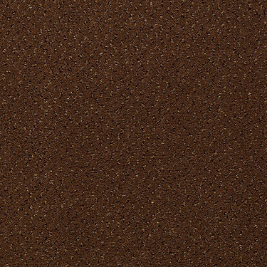 Next Generation Commercial Carpet by Philadelphia Commercial in the color Thrasher. Sample of browns carpet pattern and texture.