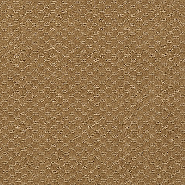 Latest Trend Commercial Carpet by Philadelphia Commercial in the color Gold Rush. Sample of golds carpet pattern and texture.