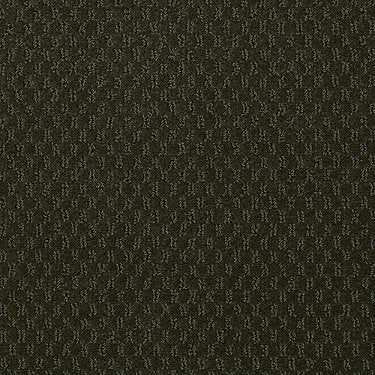 Latest Trend Commercial Carpet by Philadelphia Commercial in the color Mount Holly. Sample of greens carpet pattern and texture.