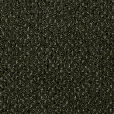 Latest Trend Commercial Carpet by Philadelphia Commercial in the color Mount Holly. Sample of greens carpet pattern and texture.