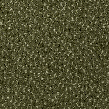 Latest Trend Commercial Carpet by Philadelphia Commercial in the color Woodland. Sample of greens carpet pattern and texture.