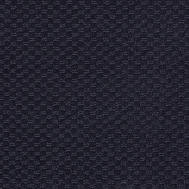 Latest Trend Commercial Carpet by Philadelphia Commercial in the color Moonlight Navy. Sample of blues carpet pattern and texture.