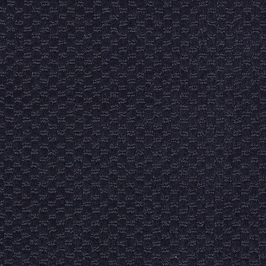 Latest Trend Commercial Carpet by Philadelphia Commercial in the color Moonlight Navy. Sample of blues carpet pattern and texture.