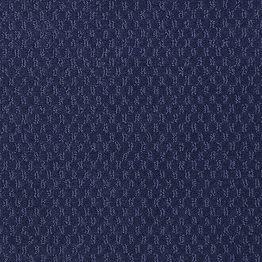 Latest Trend Commercial Carpet by Philadelphia Commercial in the color Blue Clover. Sample of blues carpet pattern and texture.
