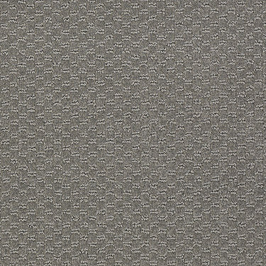 Latest Trend Commercial Carpet by Philadelphia Commercial in the color Oyster Bay. Sample of grays carpet pattern and texture.