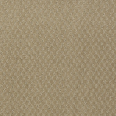 Latest Trend Commercial Carpet by Philadelphia Commercial in the color Alpaca. Sample of browns carpet pattern and texture.