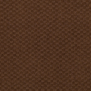 Latest Trend Commercial Carpet by Philadelphia Commercial in the color Brown Bear. Sample of browns carpet pattern and texture.
