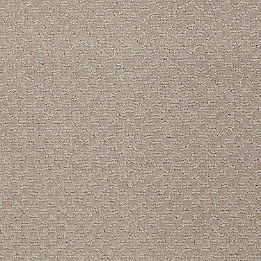 Latest Trend Commercial Carpet by Philadelphia Commercial in the color Boulder. Sample of browns carpet pattern and texture.