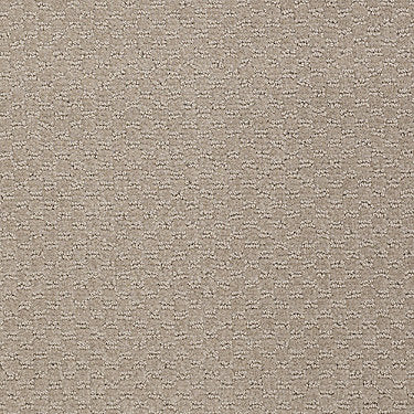Latest Trend Commercial Carpet by Philadelphia Commercial in the color Boulder. Sample of browns carpet pattern and texture.
