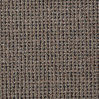 Constituent Commercial Carpet by Philadelphia Commercial in the color Unification. Sample of browns carpet pattern and texture.