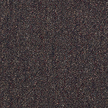 Stonefield 28 Commercial Carpet by Philadelphia Commercial in the color Mineral Bed. Sample of browns carpet pattern and texture.