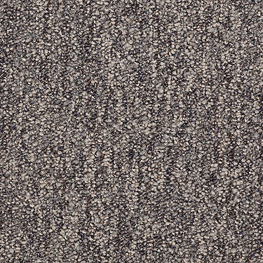 Stonefield 28 Commercial Carpet by Philadelphia Commercial in the color Stacked Stone. Sample of browns carpet pattern and texture.