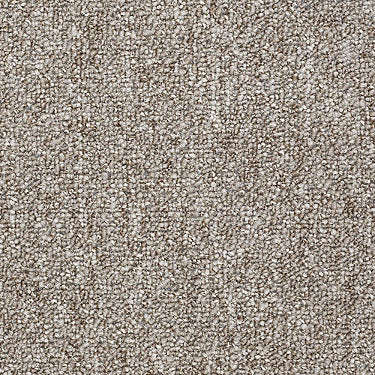 Stonefield 28 Commercial Carpet by Philadelphia Commercial in the color Landscape. Sample of browns carpet pattern and texture.