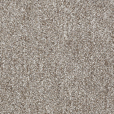 Stonefield 24 A Commercial Carpet by Philadelphia Commercial in the color Landscape. Sample of browns carpet pattern and texture.