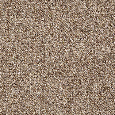 Stonefield 24 Slc Commercial Carpet by Philadelphia Commercial in the color Sandstone. Sample of golds carpet pattern and texture.