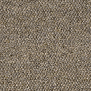 Veranda 12' Uni Commercial Carpet by Philadelphia Commercial in the color Sand Dollar. Sample of beiges carpet pattern and texture.