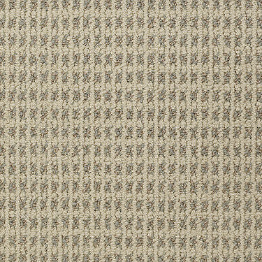 Modern Traditions Commercial Carpet by Philadelphia Commercial in the color Curry. Sample of beiges carpet pattern and texture.