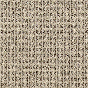 Modern Traditions Commercial Carpet by Philadelphia Commercial in the color Camel. Sample of beiges carpet pattern and texture.