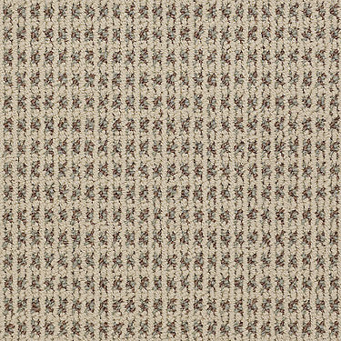 Modern Traditions Commercial Carpet by Philadelphia Commercial in the color Camel. Sample of beiges carpet pattern and texture.