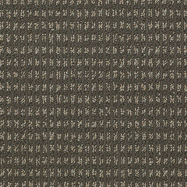 Modern Traditions Commercial Carpet by Philadelphia Commercial in the color Marsh. Sample of greens carpet pattern and texture.