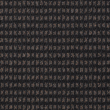 Modern Traditions Commercial Carpet by Philadelphia Commercial in the color Onyx. Sample of grays carpet pattern and texture.