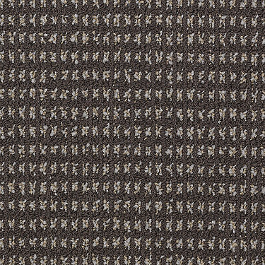 Modern Traditions Commercial Carpet by Philadelphia Commercial in the color Bark. Sample of browns carpet pattern and texture.