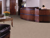 Modern Traditions Commercial Carpet by Philadelphia Commercial in the color Bark. Image of browns carpet in a room.