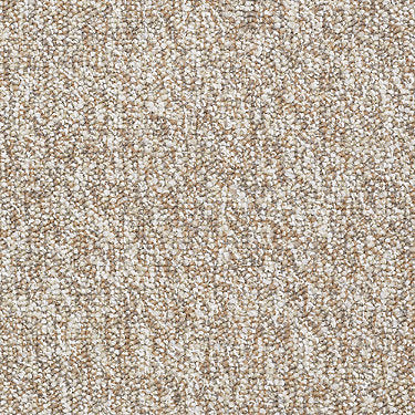 Franchise Residential Carpet by Philadelphia Commercial in the color Haystack. Sample of beiges carpet pattern and texture.