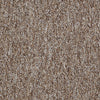 Camden Harbor Ii Commercial Carpet by Philadelphia Commercial in the color Mocha. Sample of beiges carpet pattern and texture.