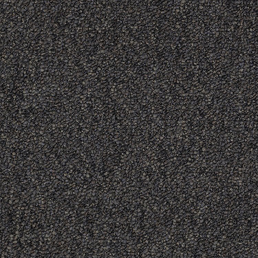 Camden Harbor Ii Commercial Carpet by Philadelphia Commercial in the color Derby. Sample of grays carpet pattern and texture.