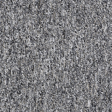 Camden Harbor Ii Commercial Carpet by Philadelphia Commercial in the color Smokestack. Sample of grays carpet pattern and texture.