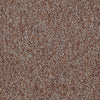 Camden Harbor Ii Commercial Carpet by Philadelphia Commercial in the color Pumpkin. Sample of oranges carpet pattern and texture.