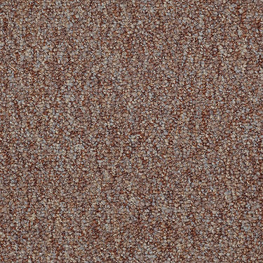 Camden Harbor Ii Commercial Carpet by Philadelphia Commercial in the color Pumpkin. Sample of oranges carpet pattern and texture.