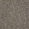 Camden Harbor Ii Commercial Carpet by Philadelphia Commercial in the color Pebble. Sample of browns carpet pattern and texture.