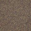 Camden Harbor Ii Commercial Carpet by Philadelphia Commercial in the color Fruitwood. Sample of browns carpet pattern and texture.