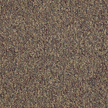 Camden Harbor Ii Commercial Carpet by Philadelphia Commercial in the color Fruitwood. Sample of browns carpet pattern and texture.